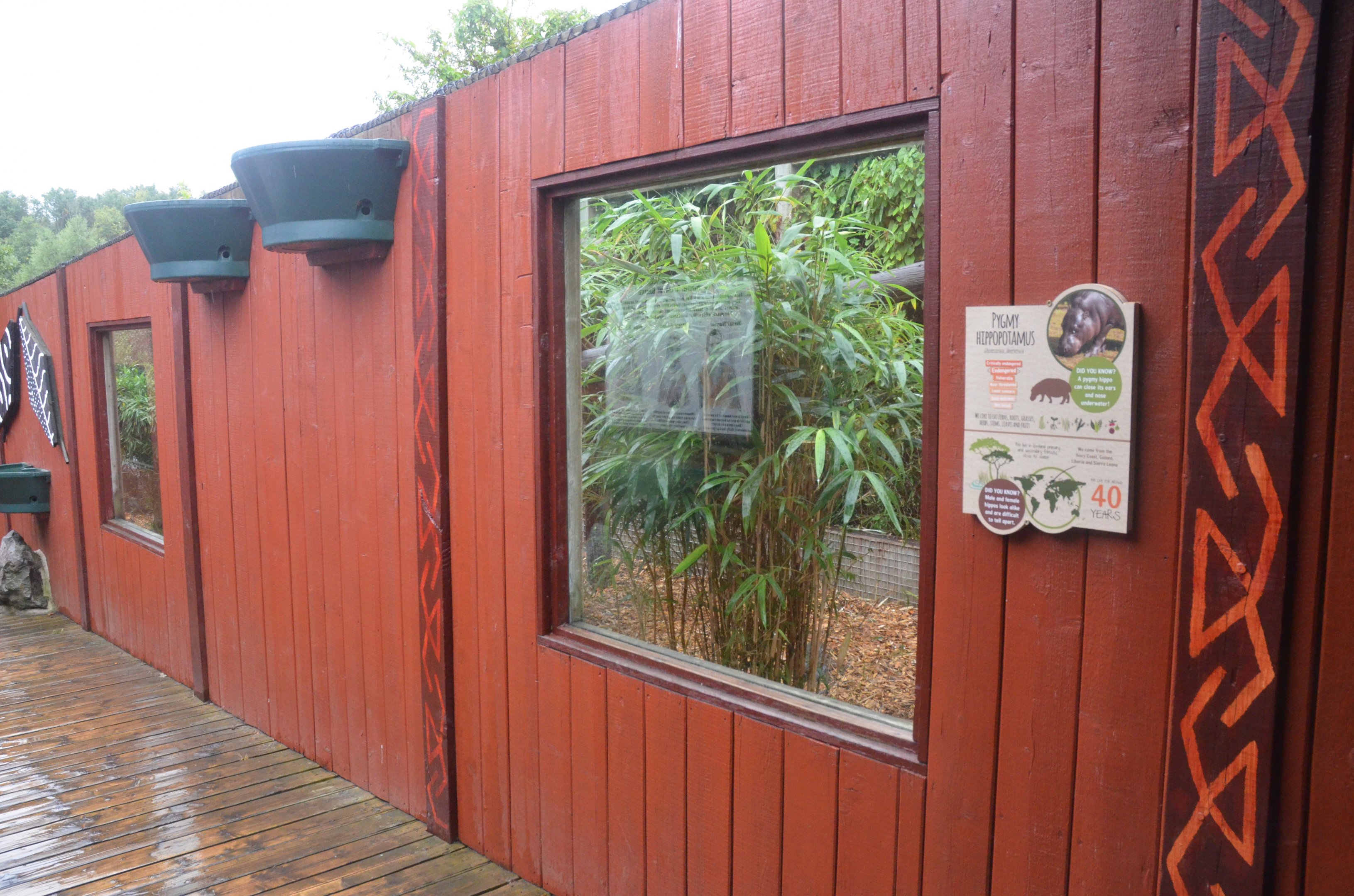 Pygmy Hippo Enclosure (Formerly Patas Plains) at Colchester, 09/09/19
