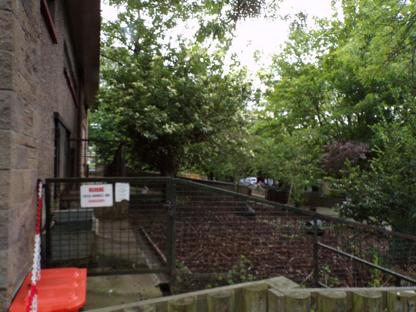 Pygmy hippo enclosure from hippo house side of enclosure 17.7.23