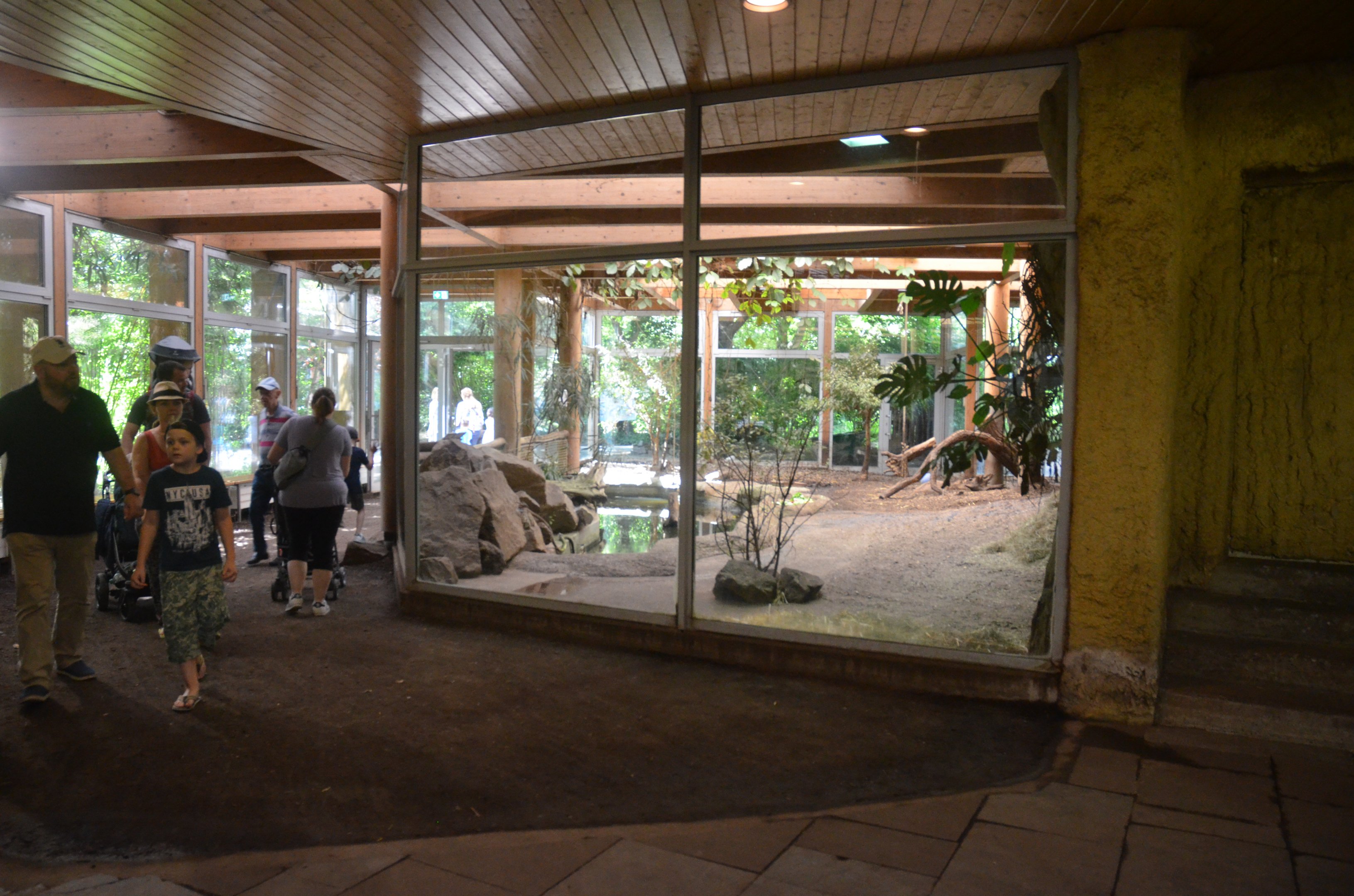Pygmy Hippo Enclosure in Aequatorium at Duisburg, 17/06/19