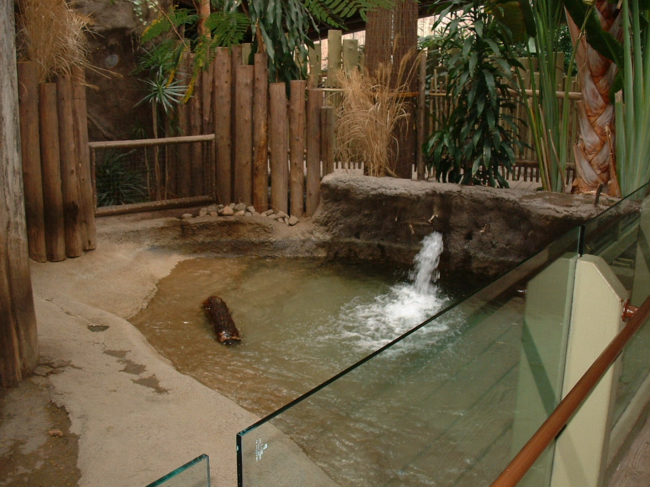 Pygmy Hippo Enclosure - Nov 2012