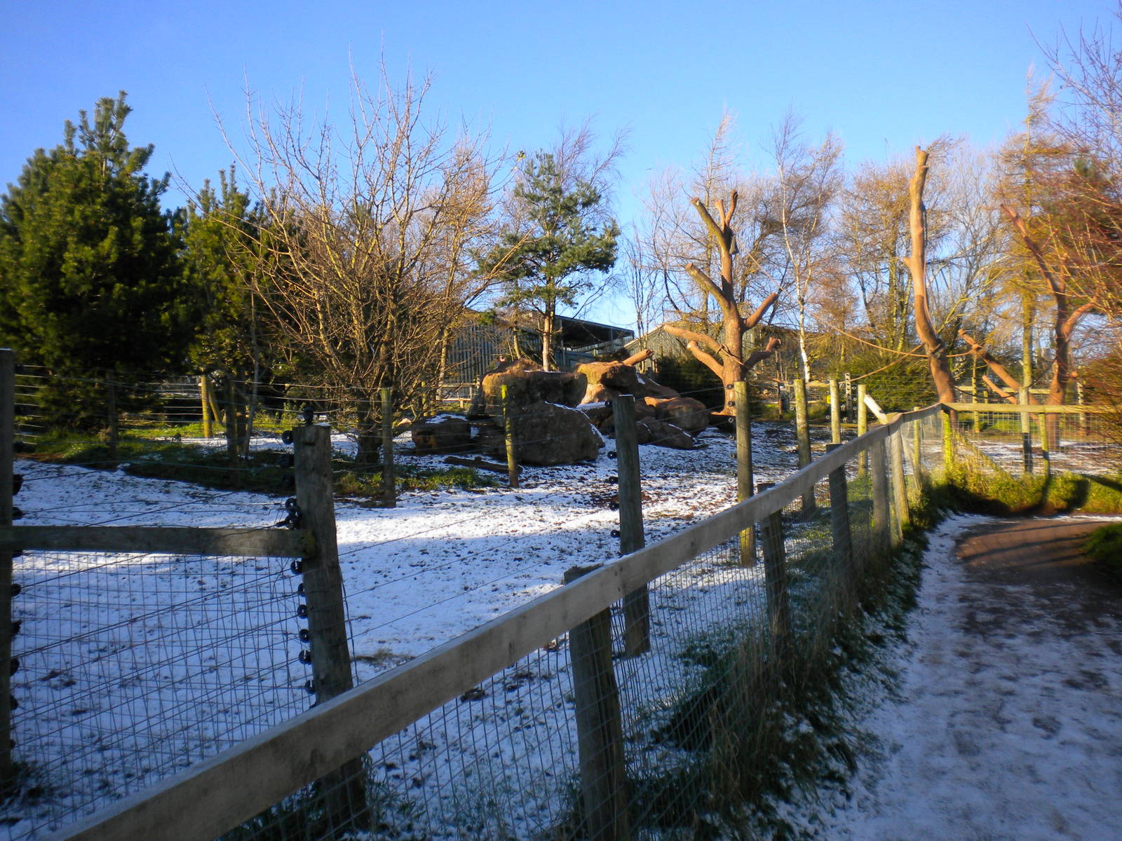 Pygmy Hippo Enclosure.