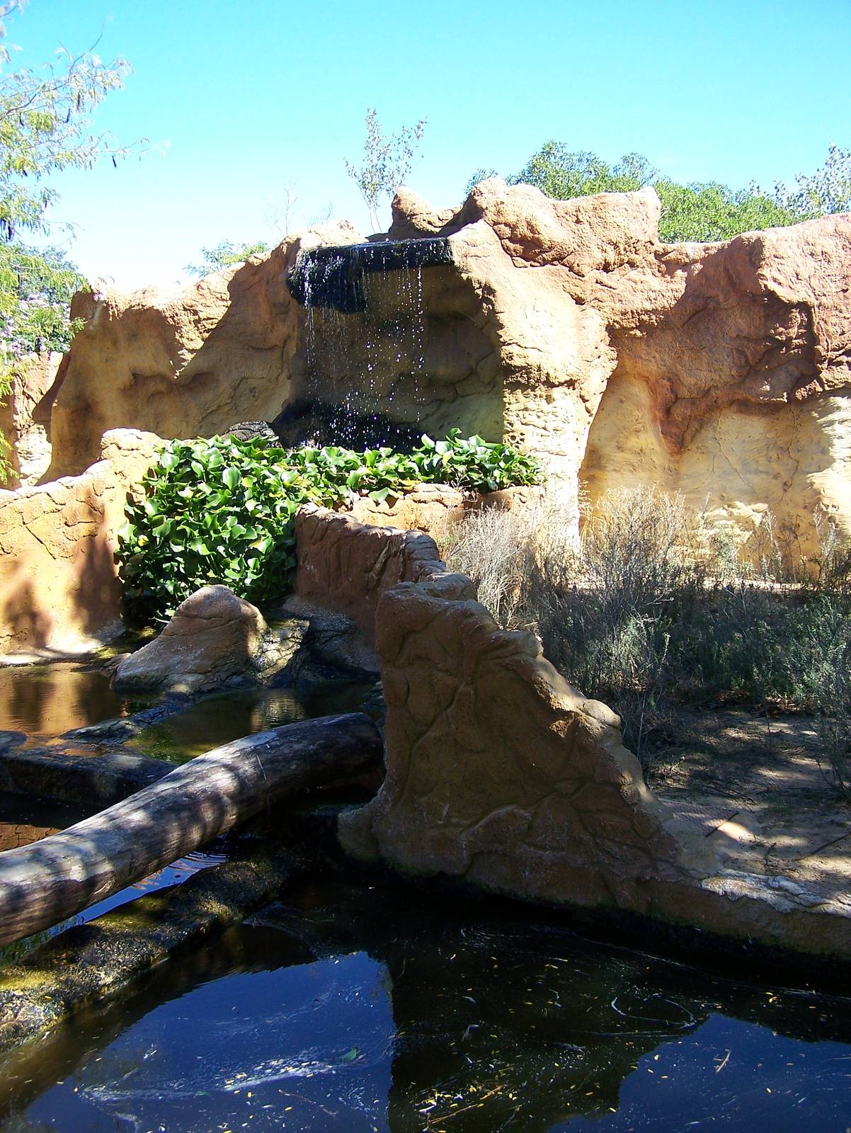 pygmy hippo enclosure