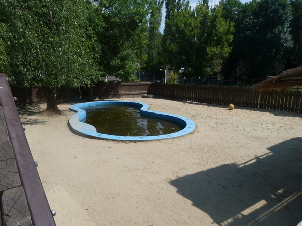 Pygmy hippo enclosure