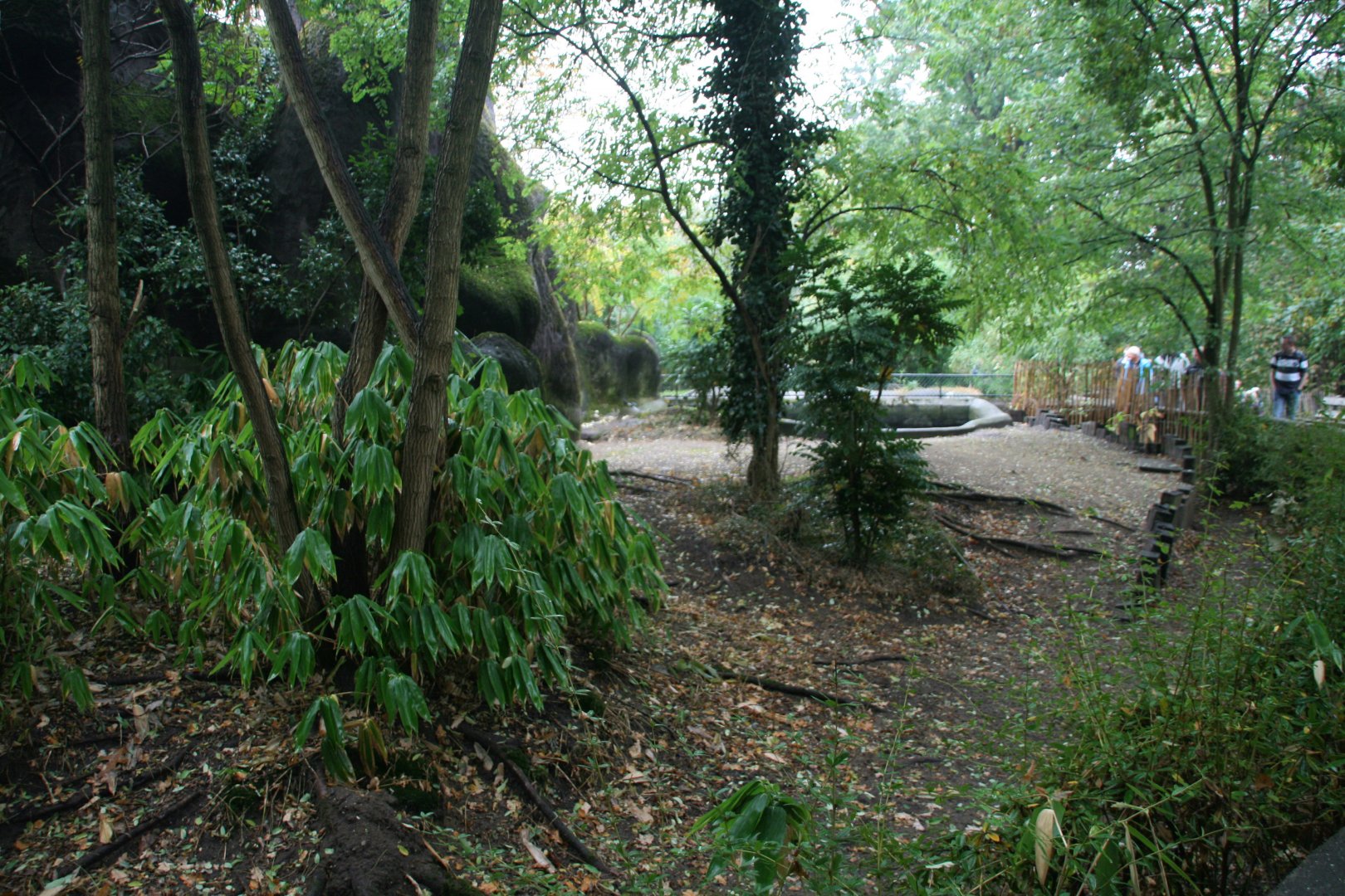 Pygmy hippo enclosure