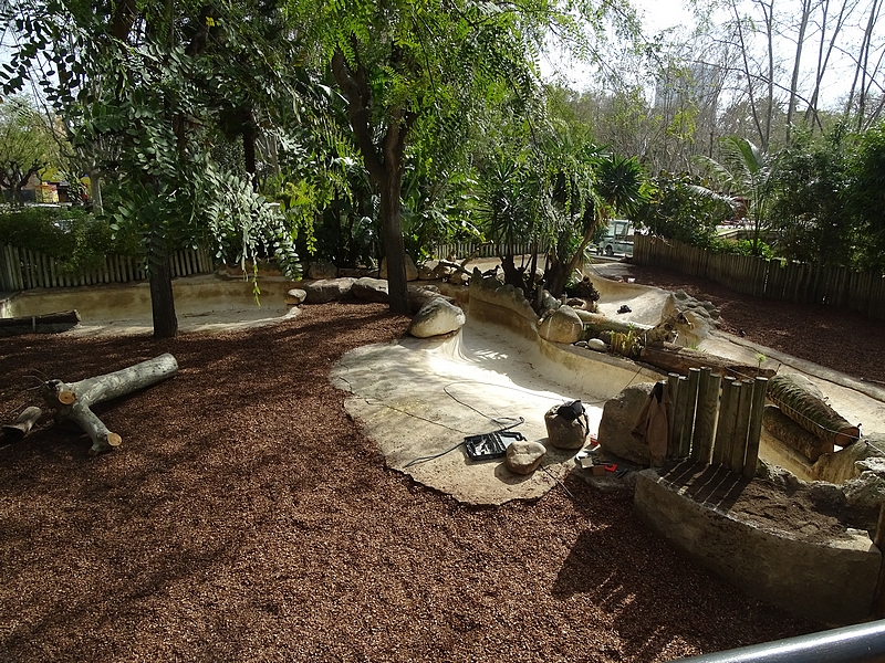 Pygmy hippo enclosure