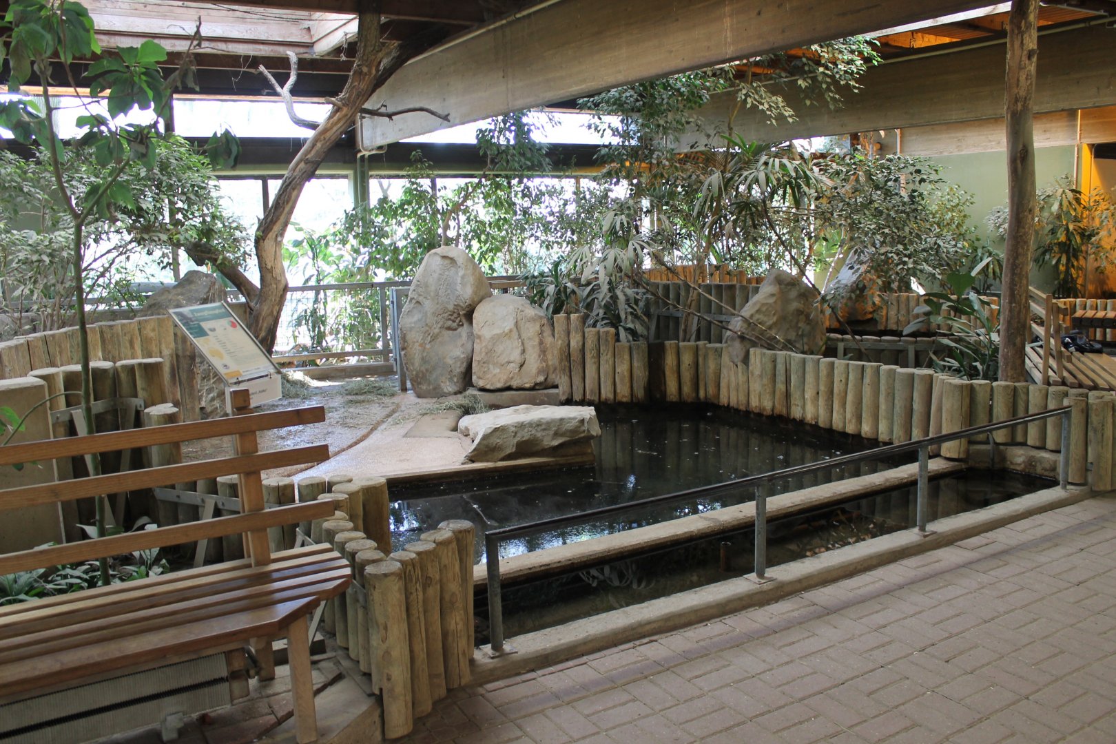 Pygmy hippo-enclosure