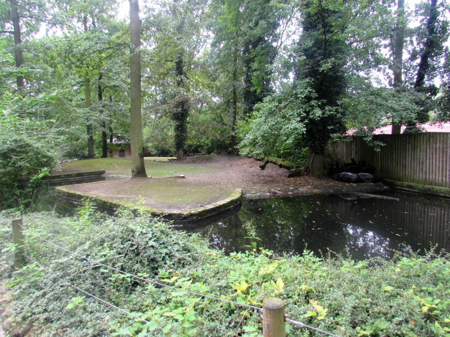 Pygmy Hippo enclosure