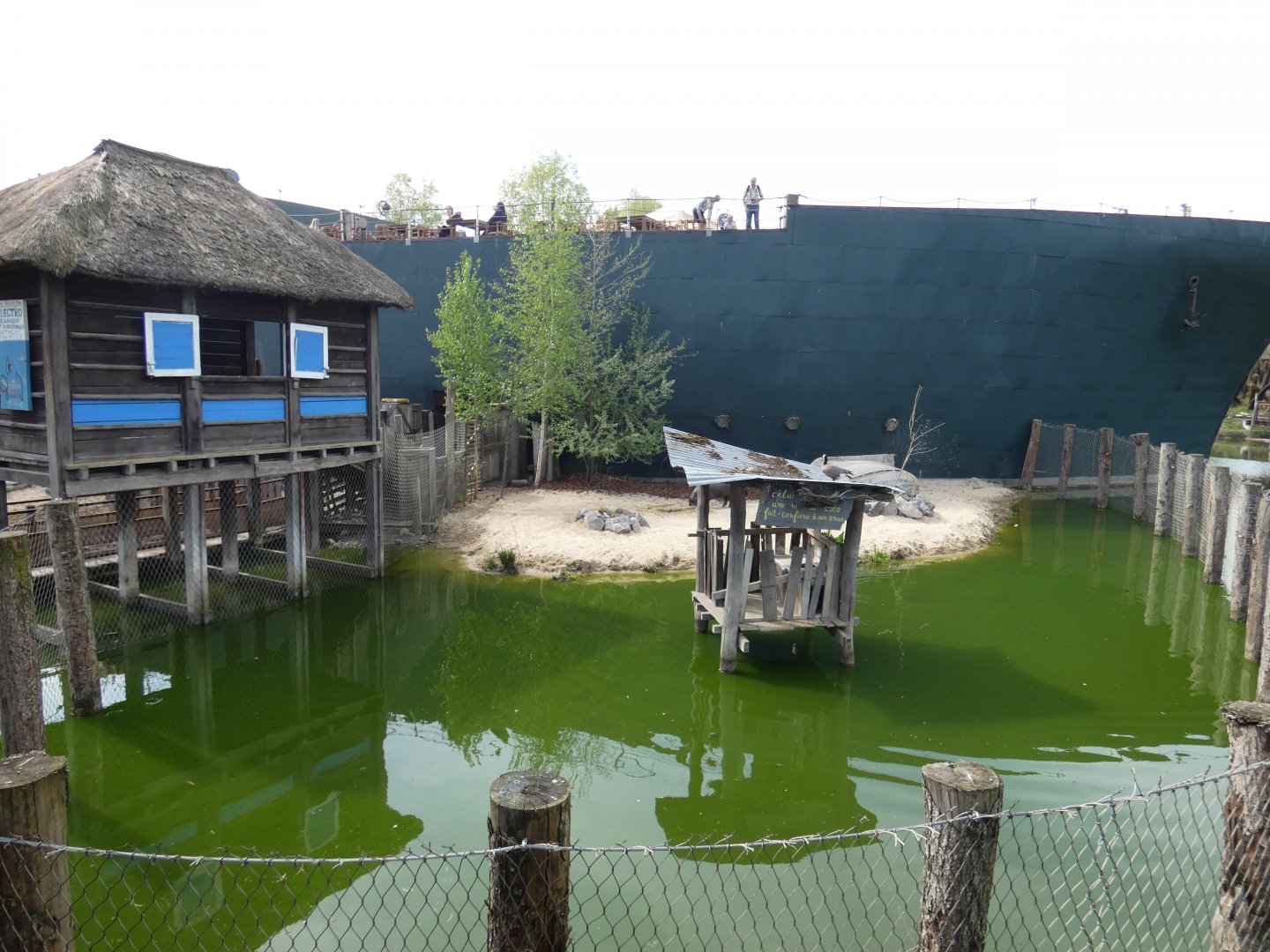 Pygmy Hippo enclosure