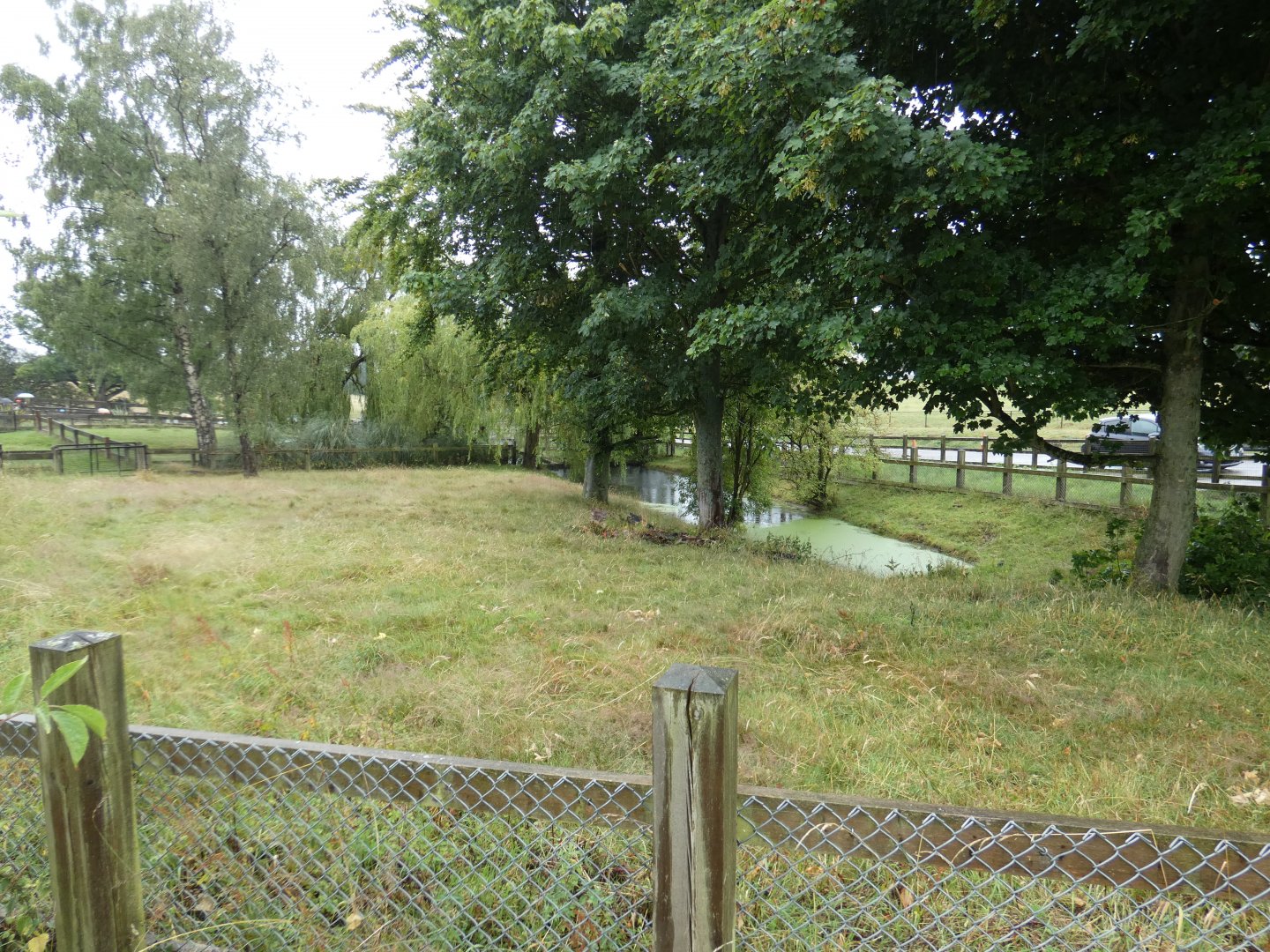 Pygmy Hippo enclosure