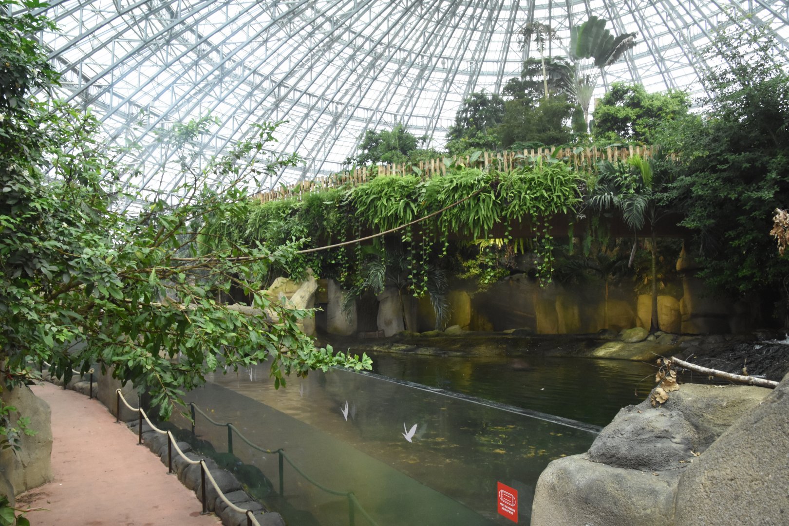 Pygmy Hippo enclosure