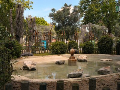 pygmy hippo enclosure