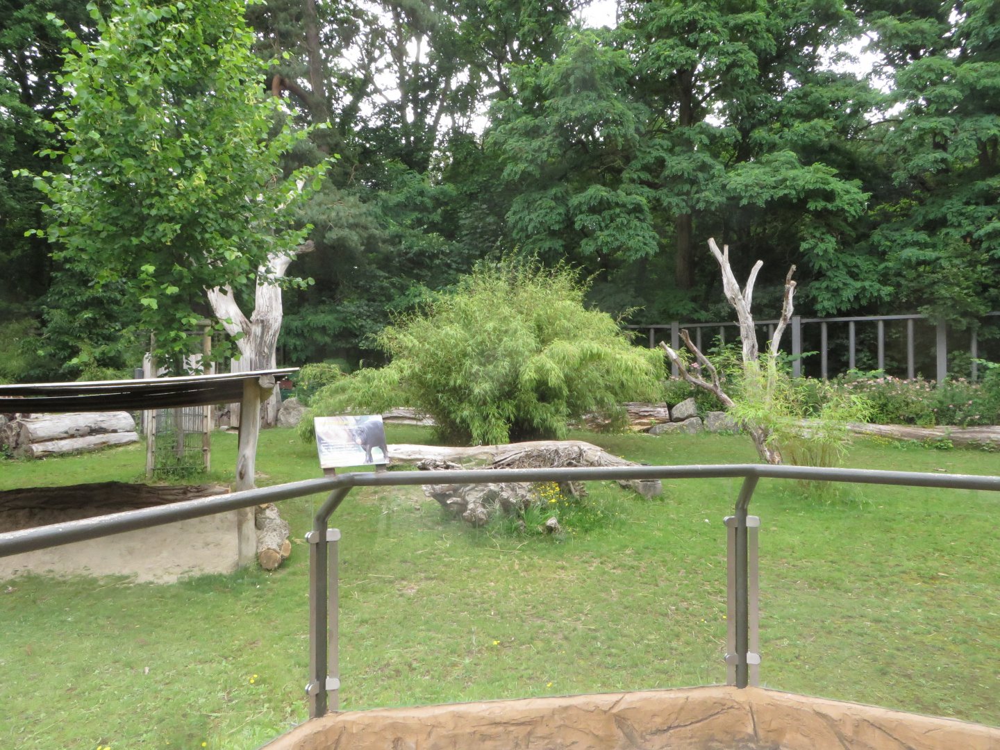 Pygmy hippo enclosure