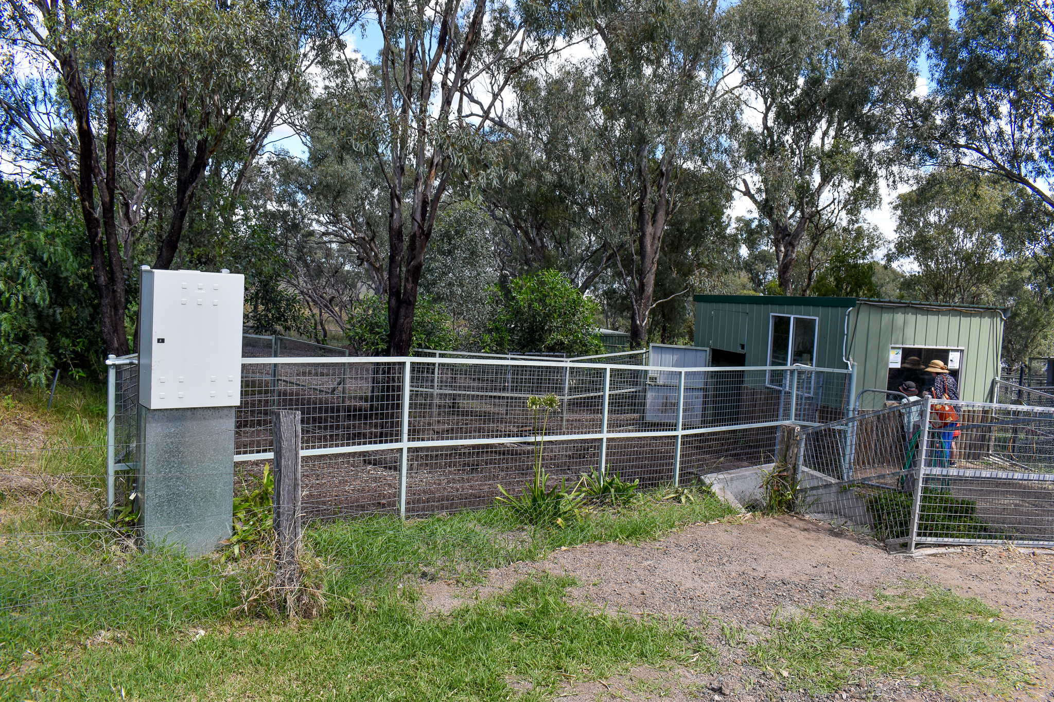Pygmy Hippo Enclosure