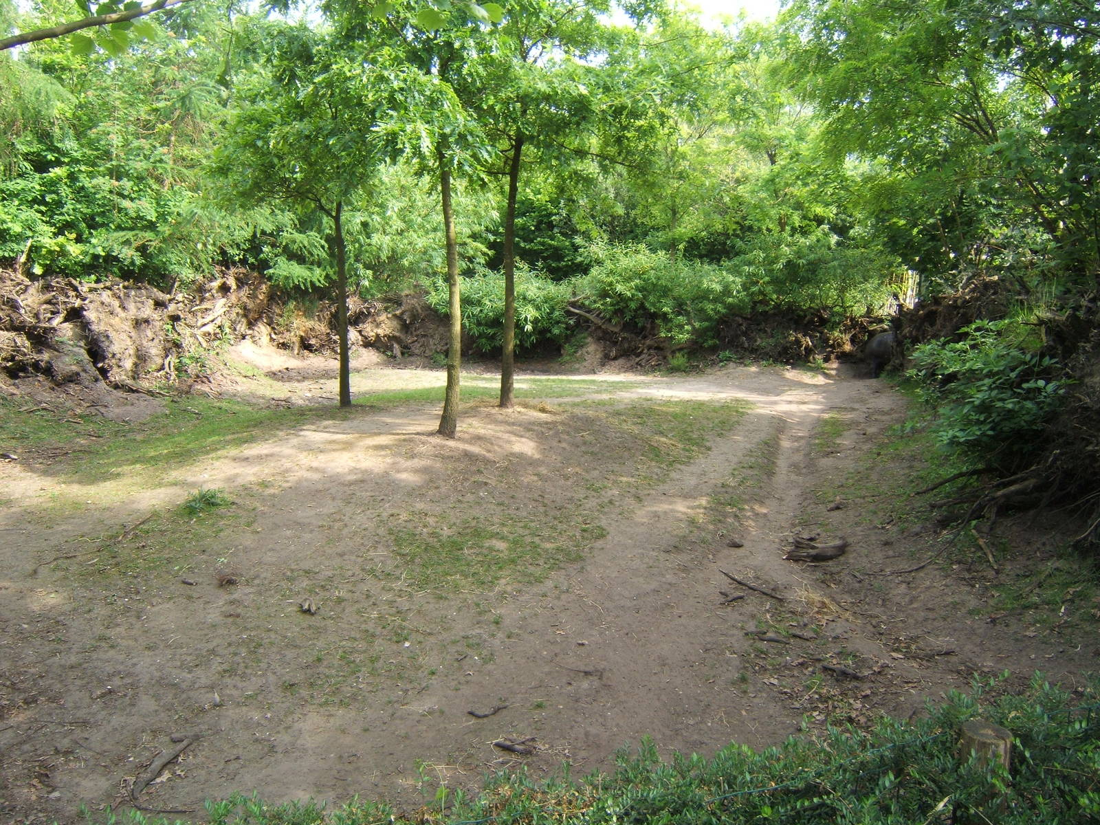 Pygmy Hippo enclosure