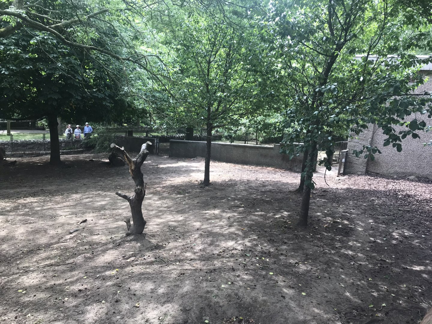 Pygmy hippo enclosure