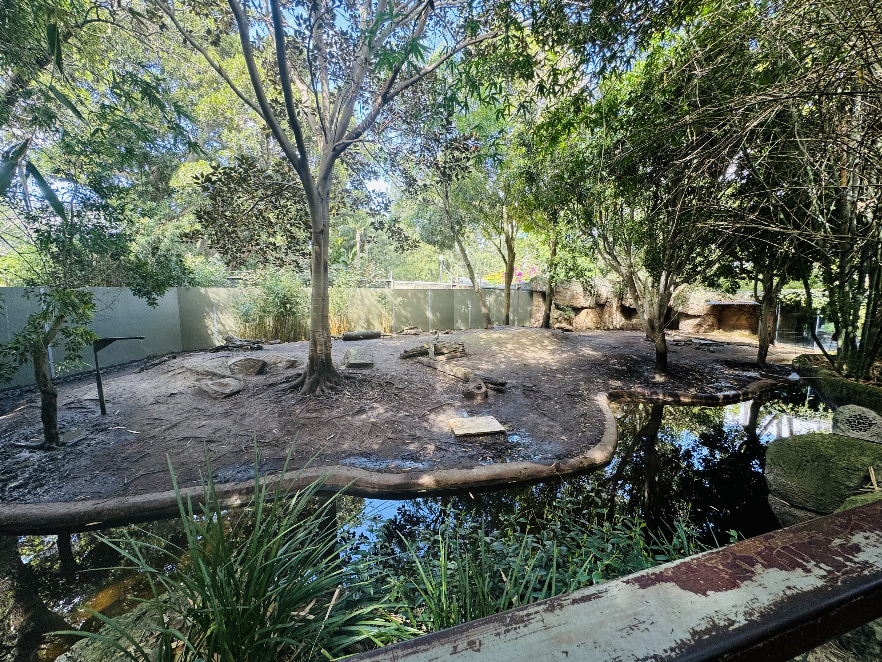 Pygmy hippo enclosure