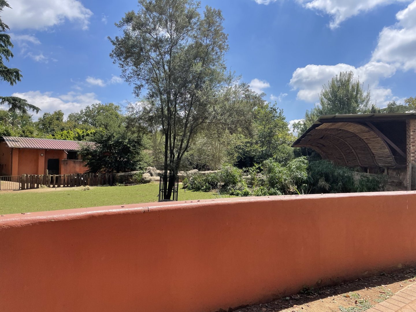 Pygmy Hippo Exhibit #1