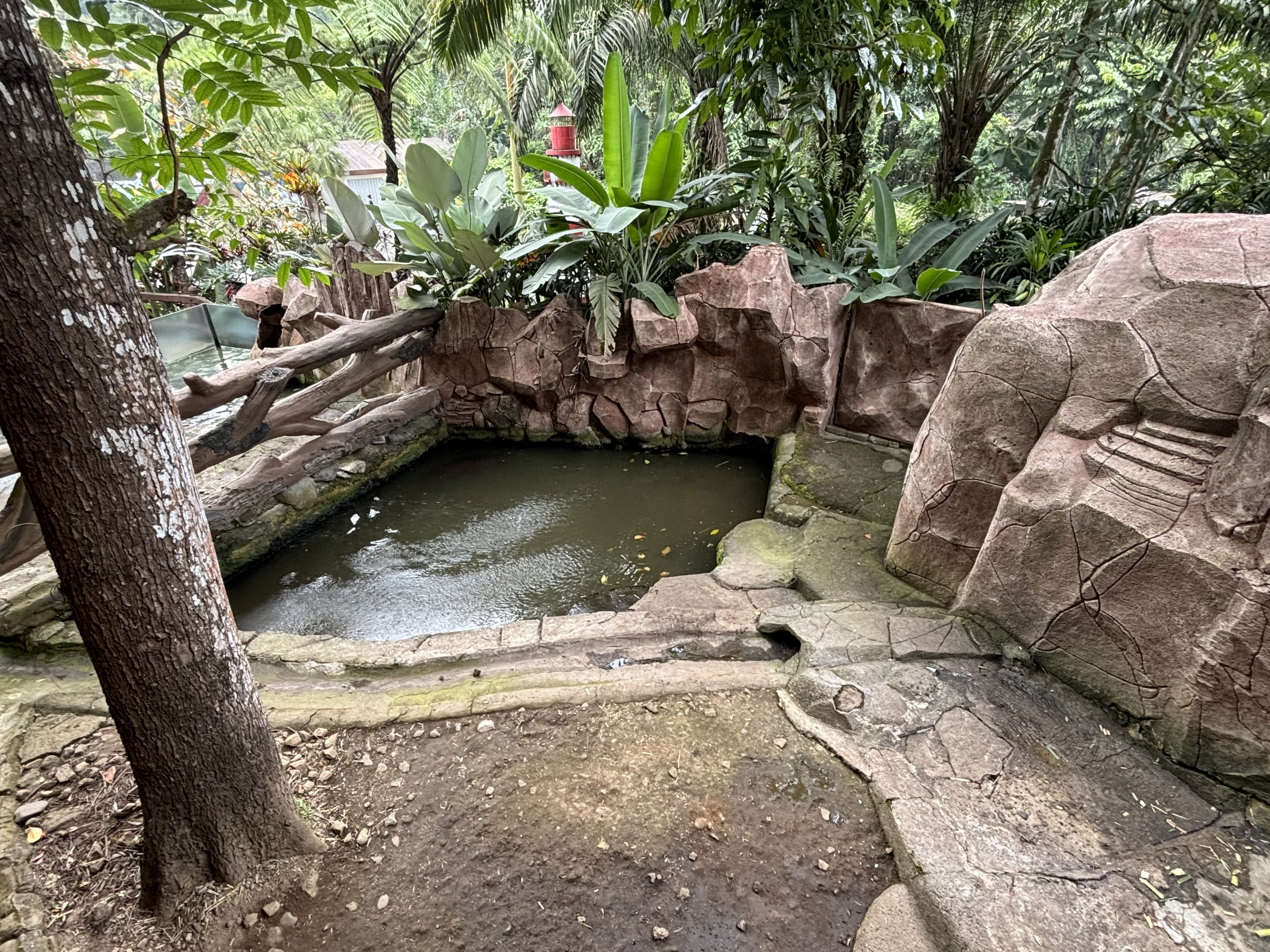 Pygmy Hippo Exhibit #1