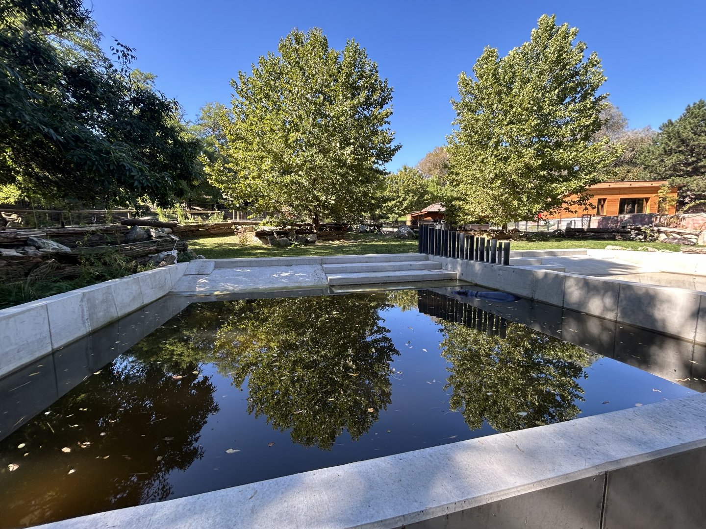 Pygmy Hippo Exhibit #2