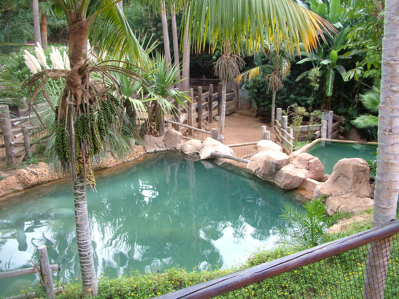 Pygmy Hippo Exhibit at Jungle Park (Las Aguilas), 13/11/10