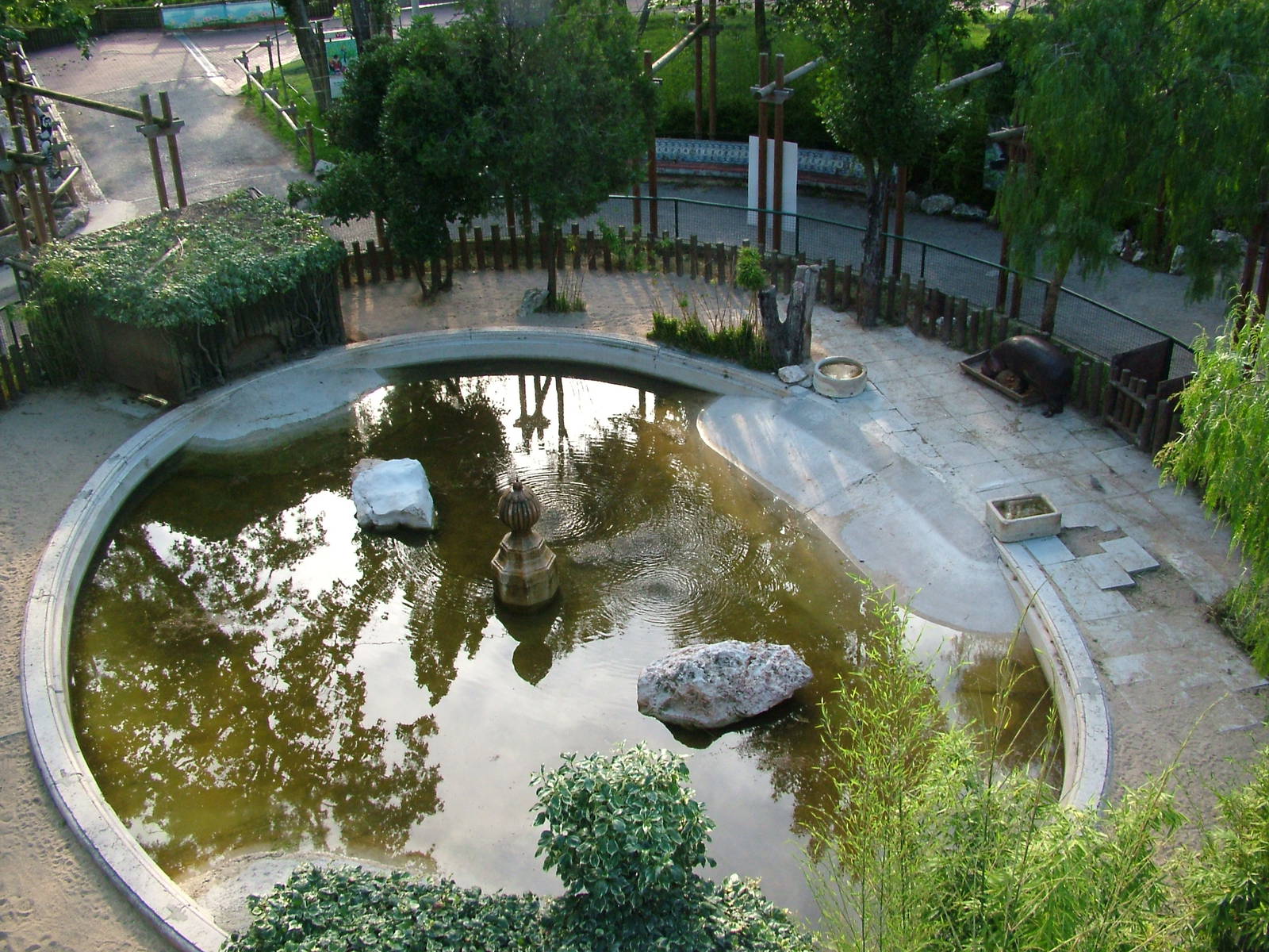 Pygmy Hippo Exhibit at Lisbon Zoo, 24/05/11