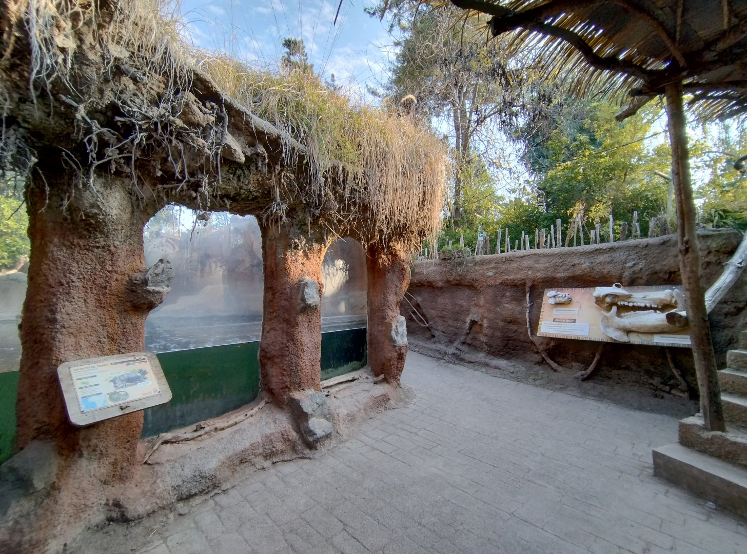 Pygmy hippo exhibit - Buin zoo