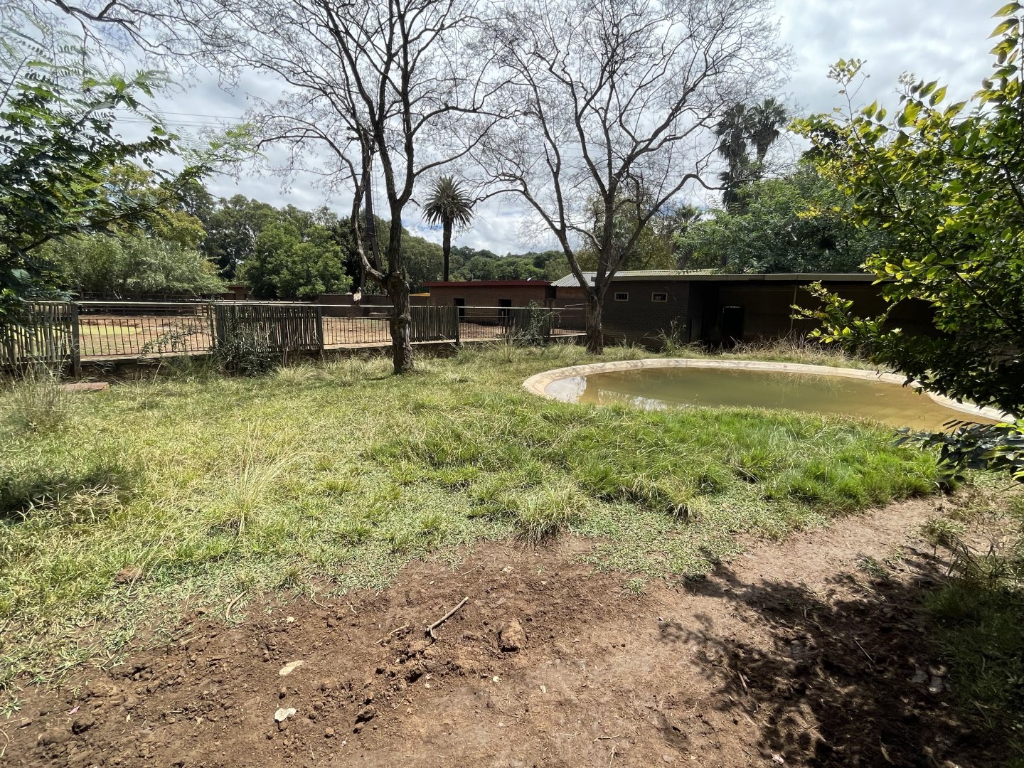Pygmy Hippo Exhibit (Choeropsis liberiensis) Formerly Malayan Tapir (Acrocodia indica)