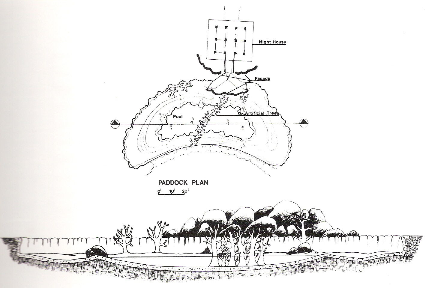 Pygmy Hippo Exhibit Design