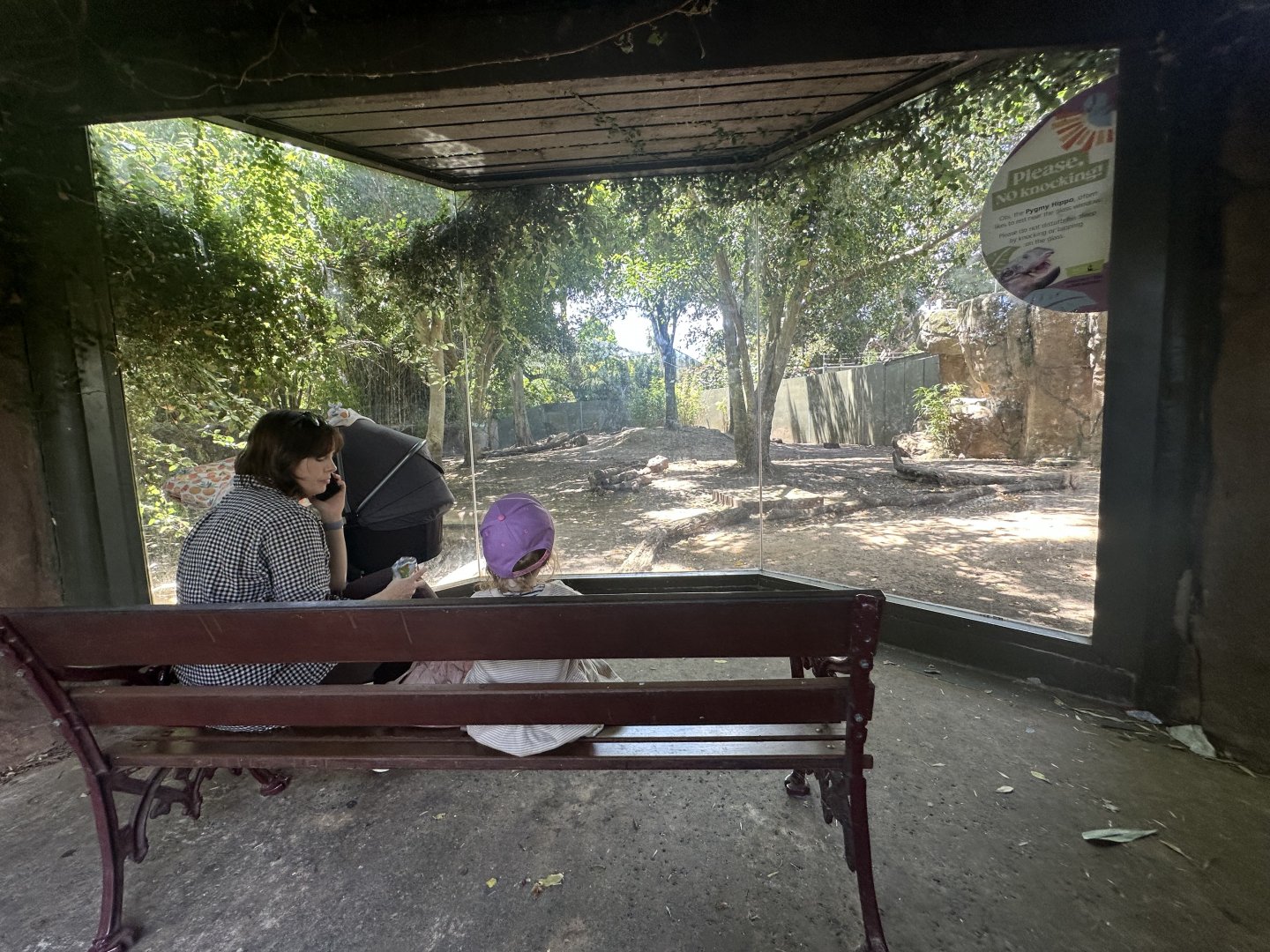 Pygmy hippo exhibit lower viewing