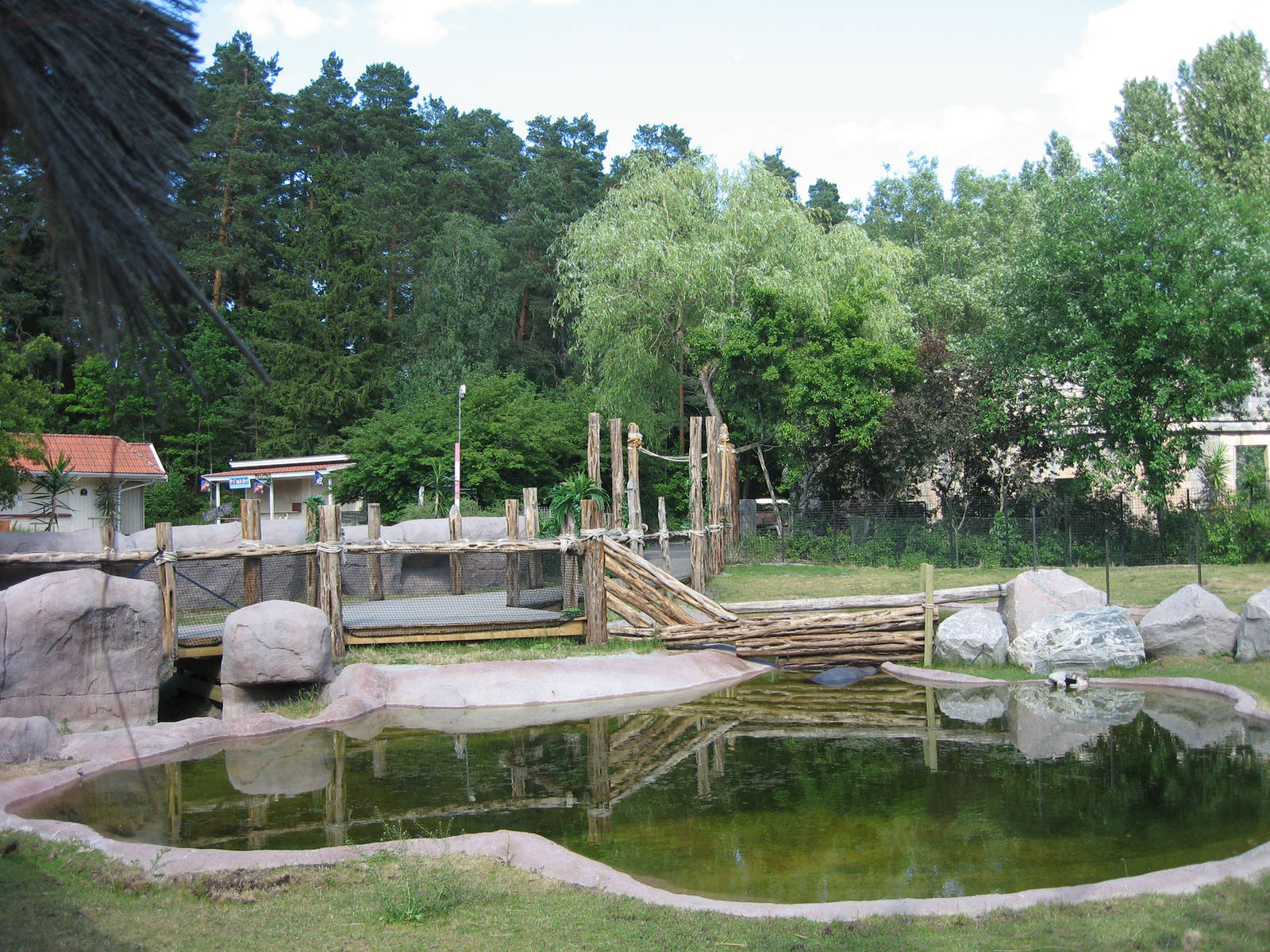 Pygmy hippo exhibit - Parken Zoo, Eskilstuna