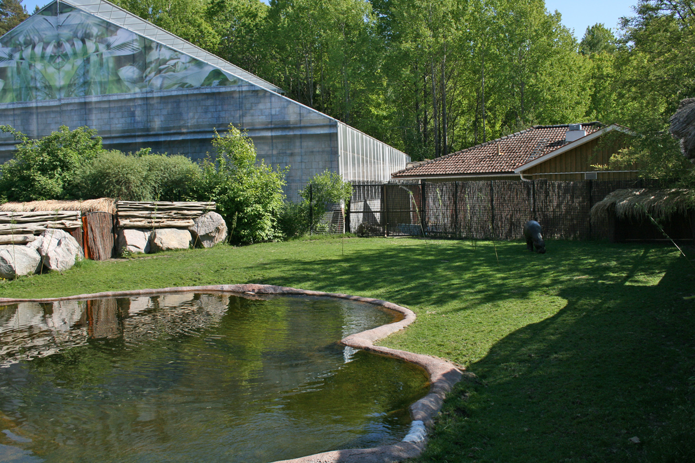 Pygmy hippo exhibit - Parken Zoo, Eskilstuna