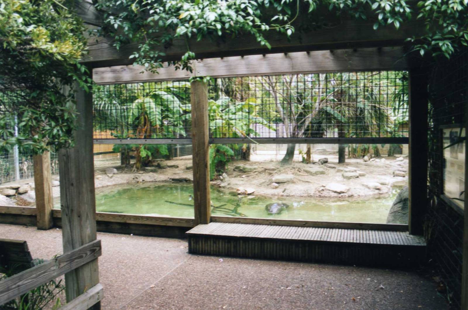 Pygmy Hippo Exhibit