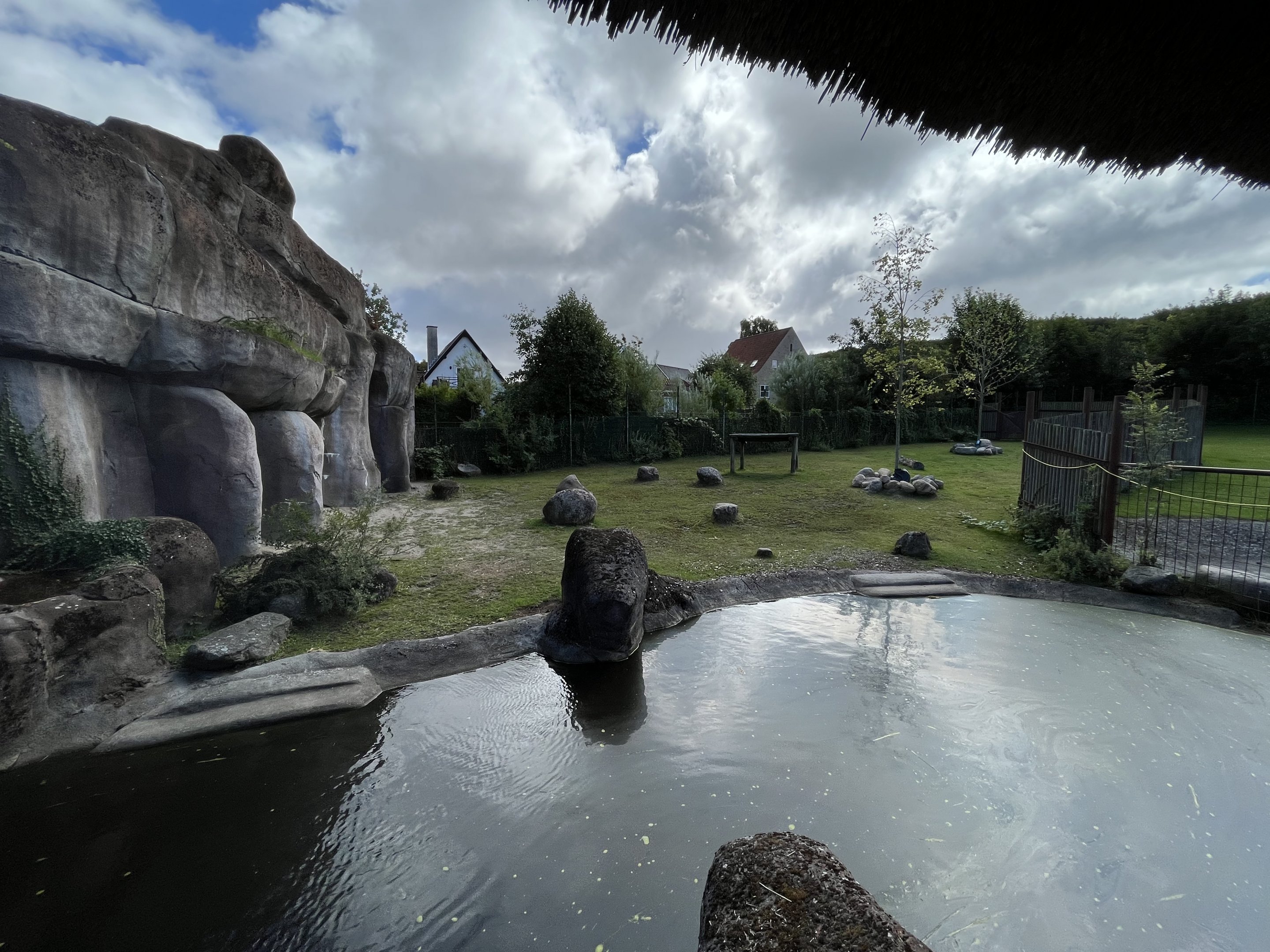 Pygmy Hippo Exhibit