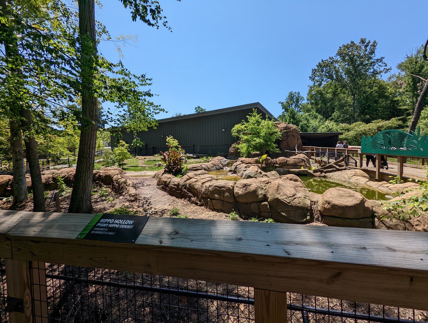 Pygmy Hippo exhibit