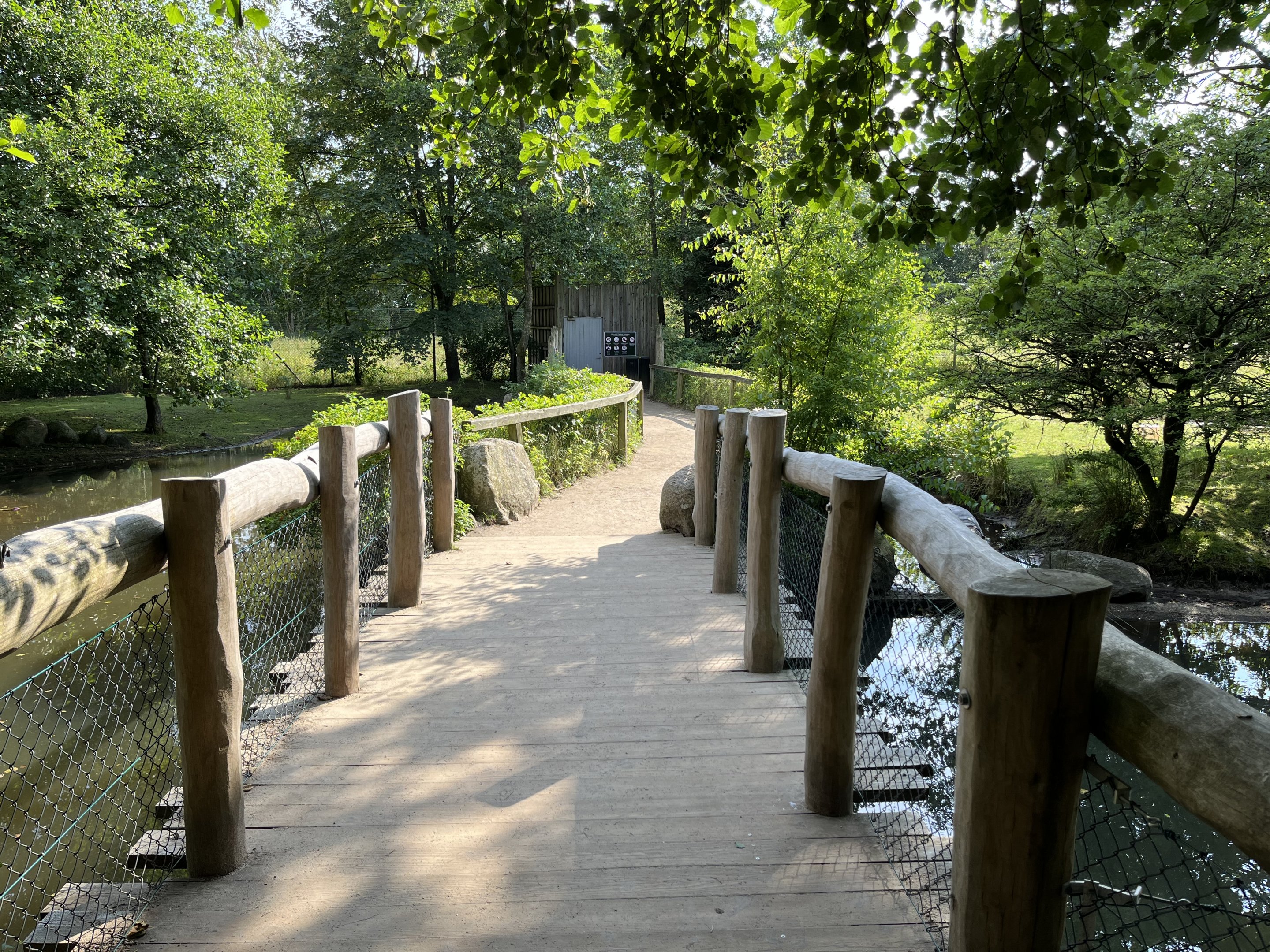 Pygmy Hippo Exhibits