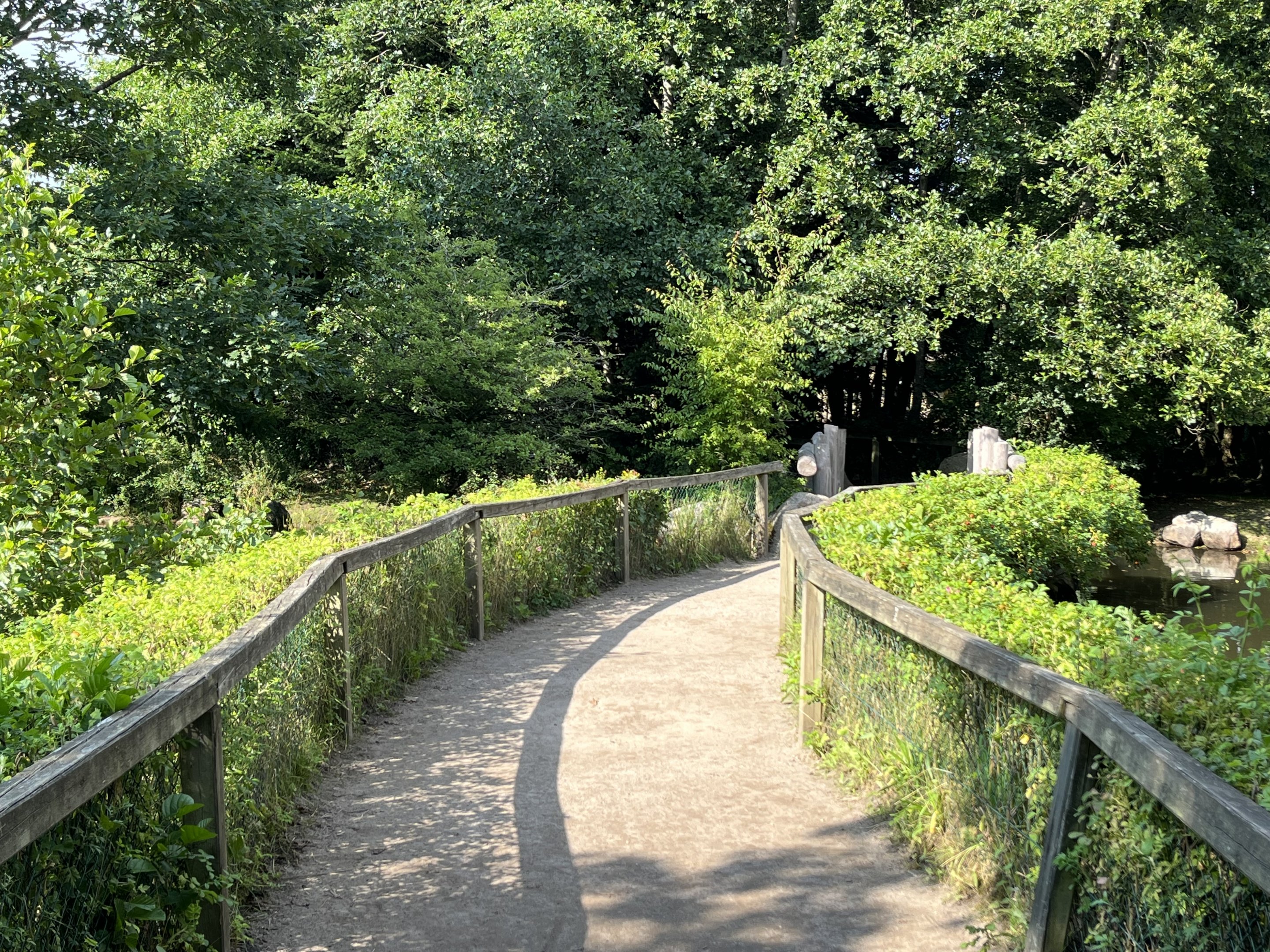 Pygmy Hippo Exhibits