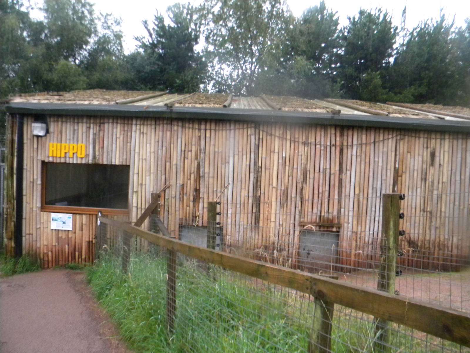 Pygmy Hippo house at SLWAP 16/07/11