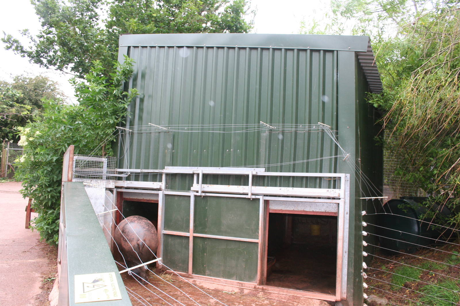 Pygmy hippo house - - South lakes wild animal park 08