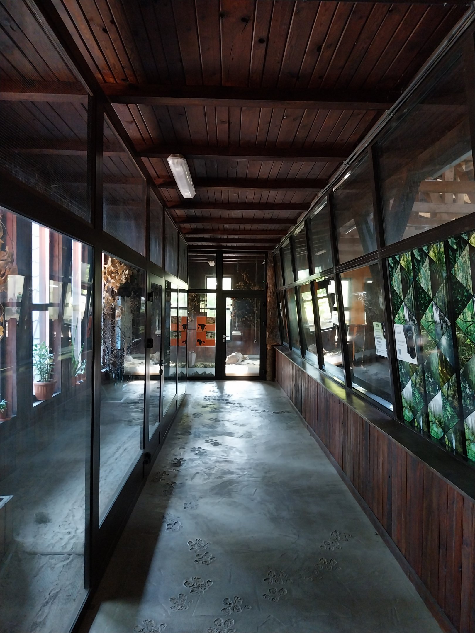 Pygmy Hippo House - Tortoise by-pass