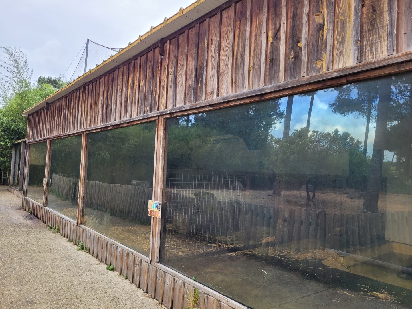 Pygmy hippo house -Zoo du bassin d'Arcachon (2024)
