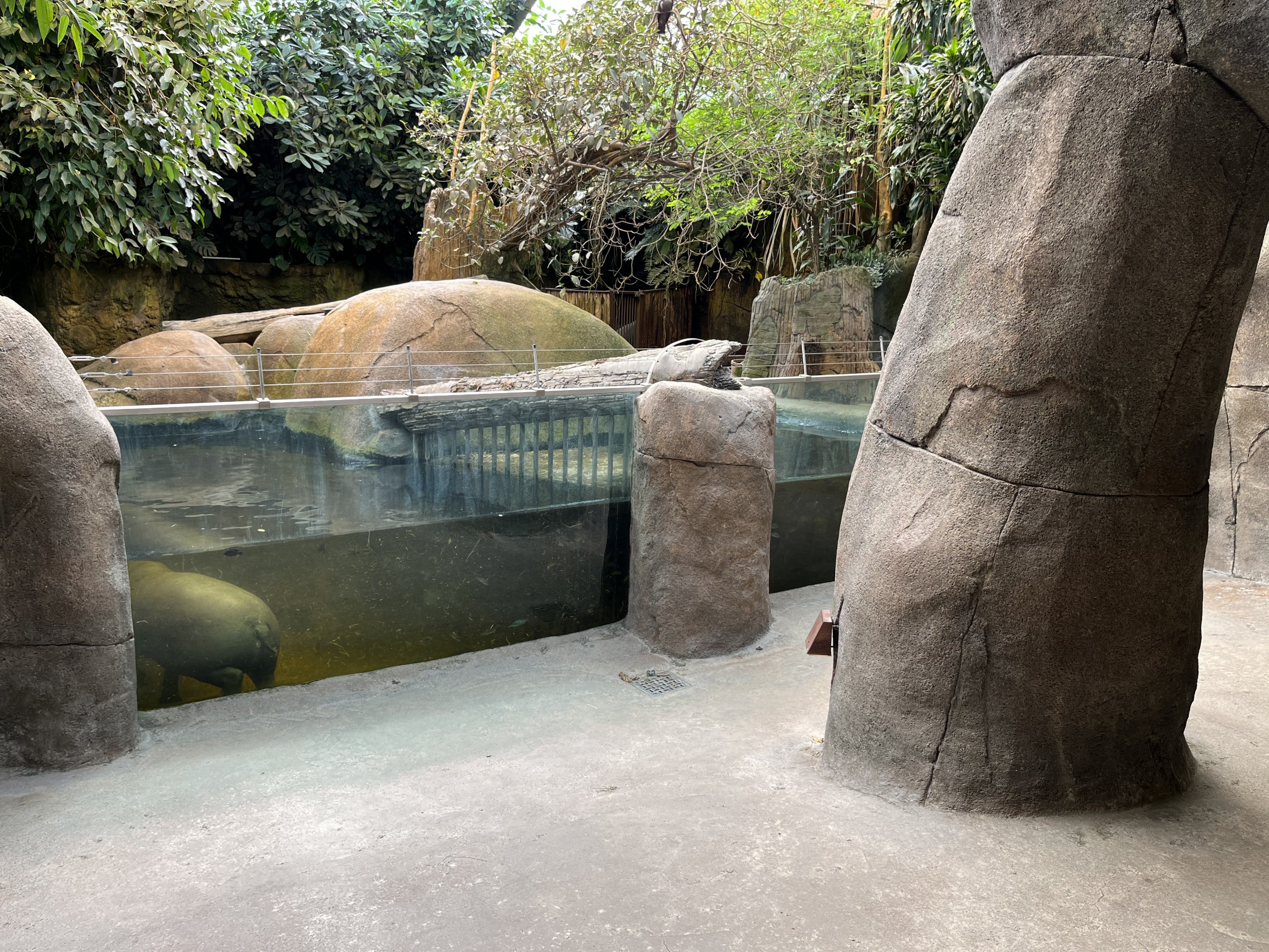 Pygmy Hippo House