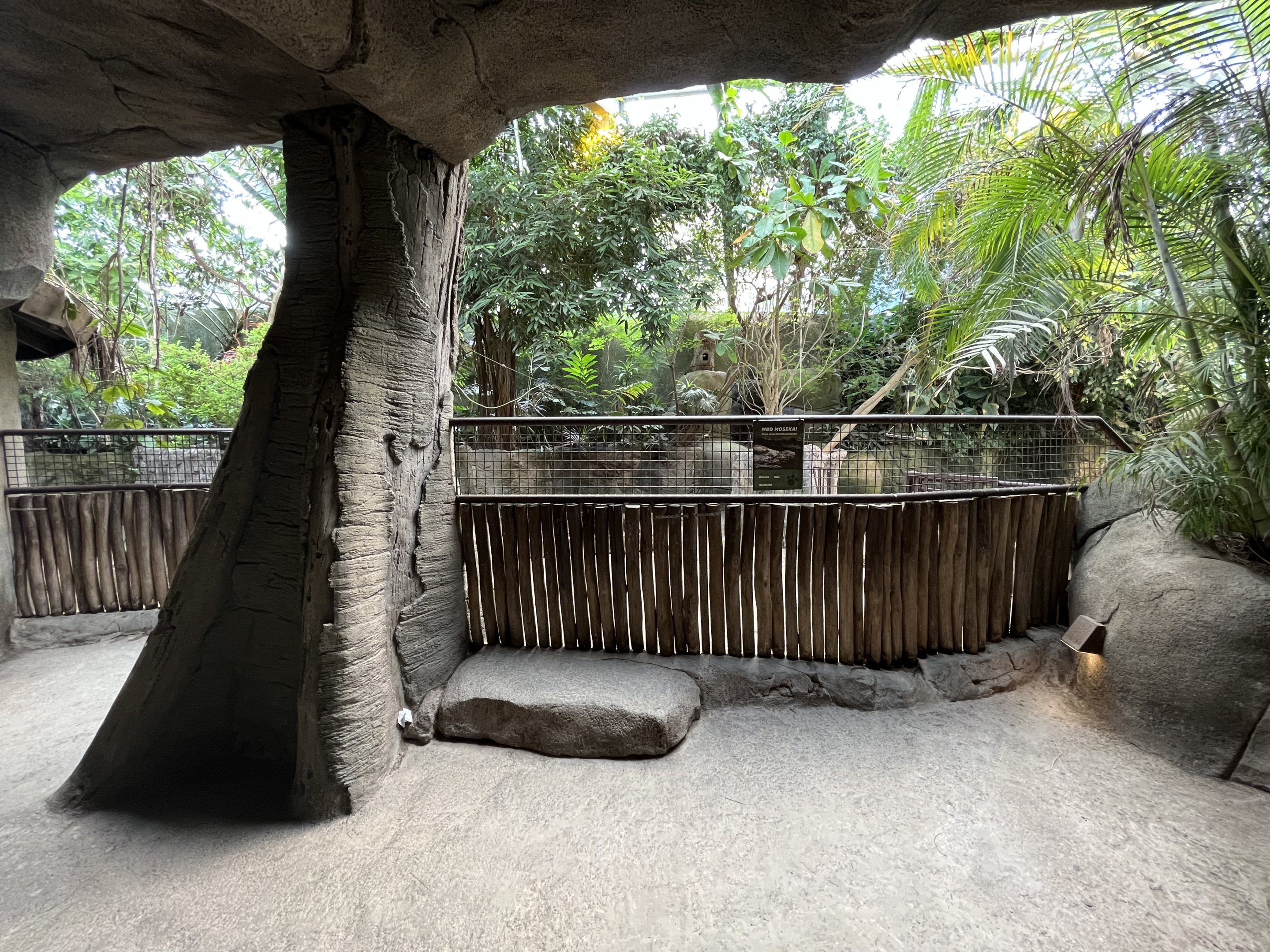 Pygmy Hippo House