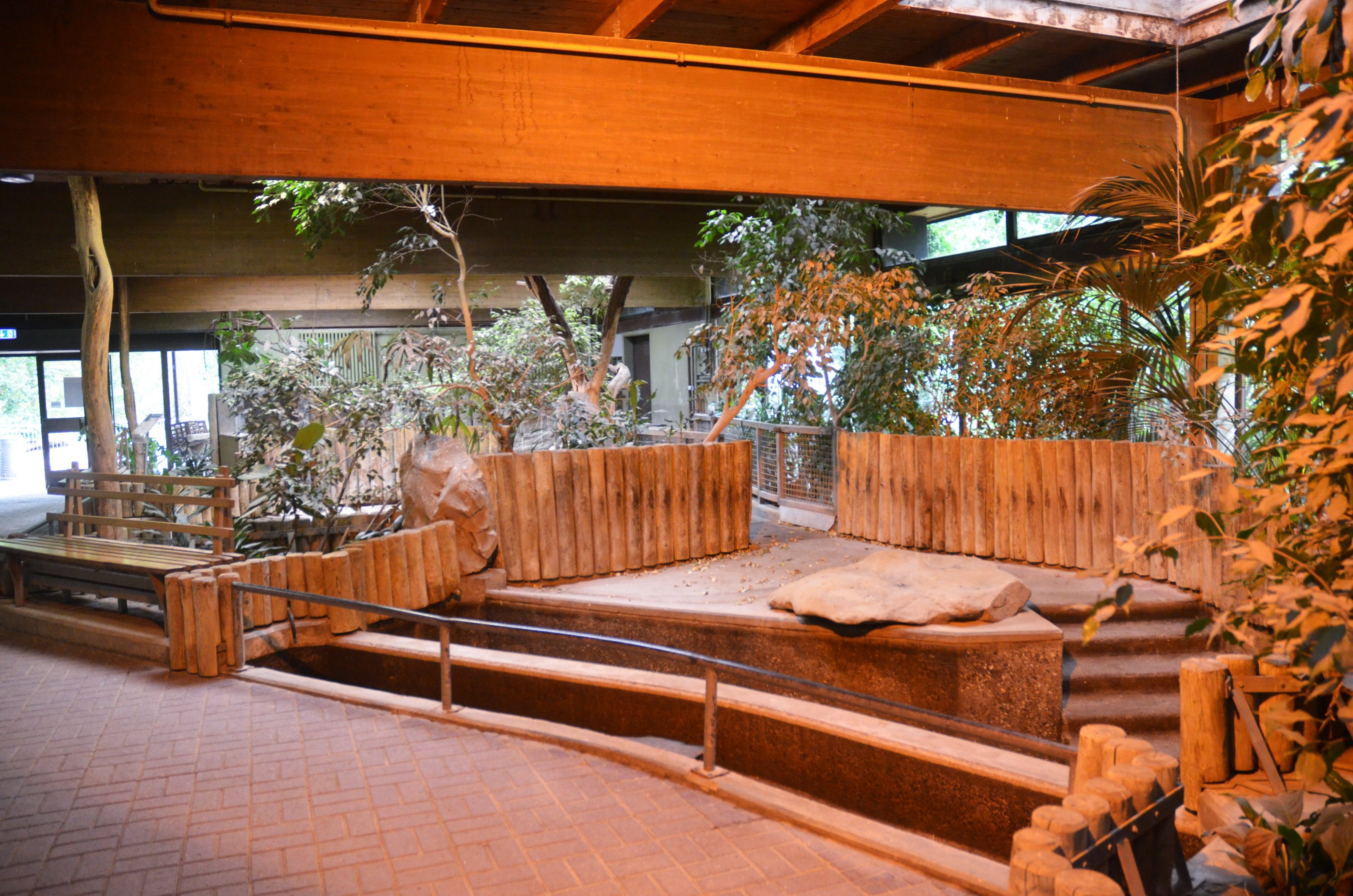 Pygmy Hippo Indoor Enclosure at Krefeld, 15/06/19