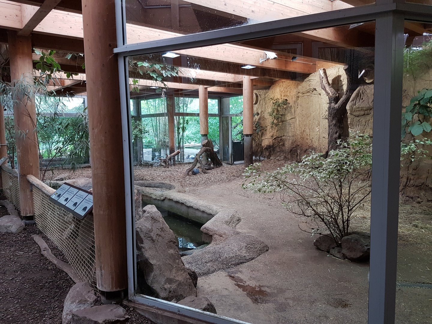Pygmy hippo indoor-enclosure