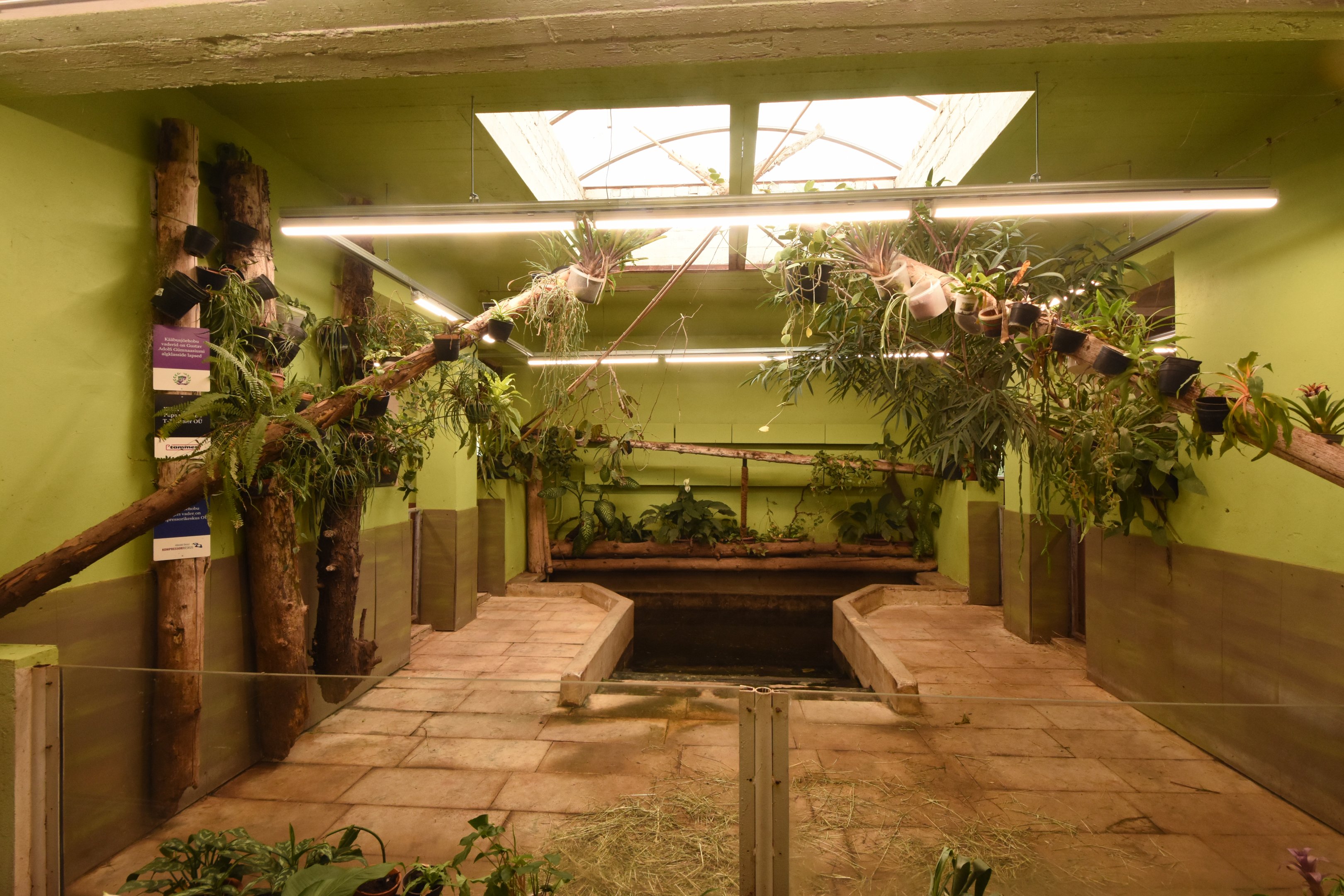 Pygmy hippo indoor enclosure