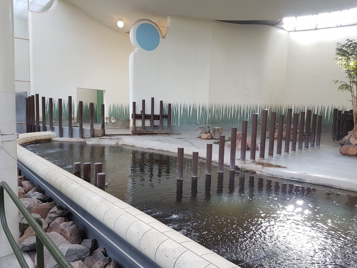 Pygmy hippo indoor enclosure