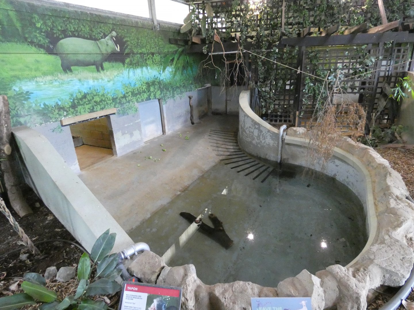 Pygmy hippo indoor enclosure
