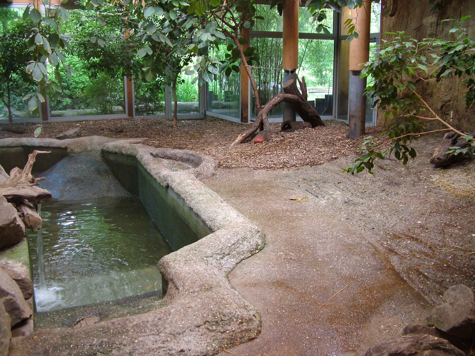 Pygmy Hippo indoor exhibit at Duisburg 15/05/09