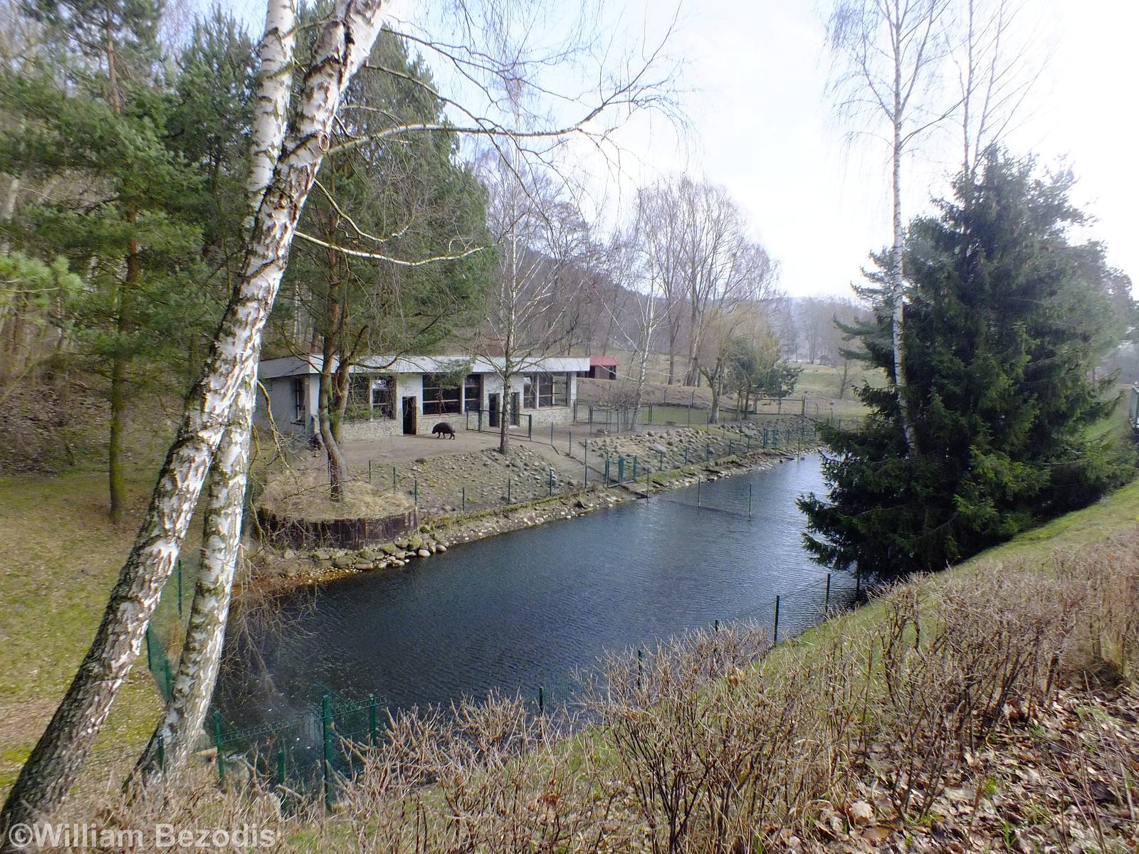 Pygmy Hippo (left) and Brazilian Tapir (right) Enclosures