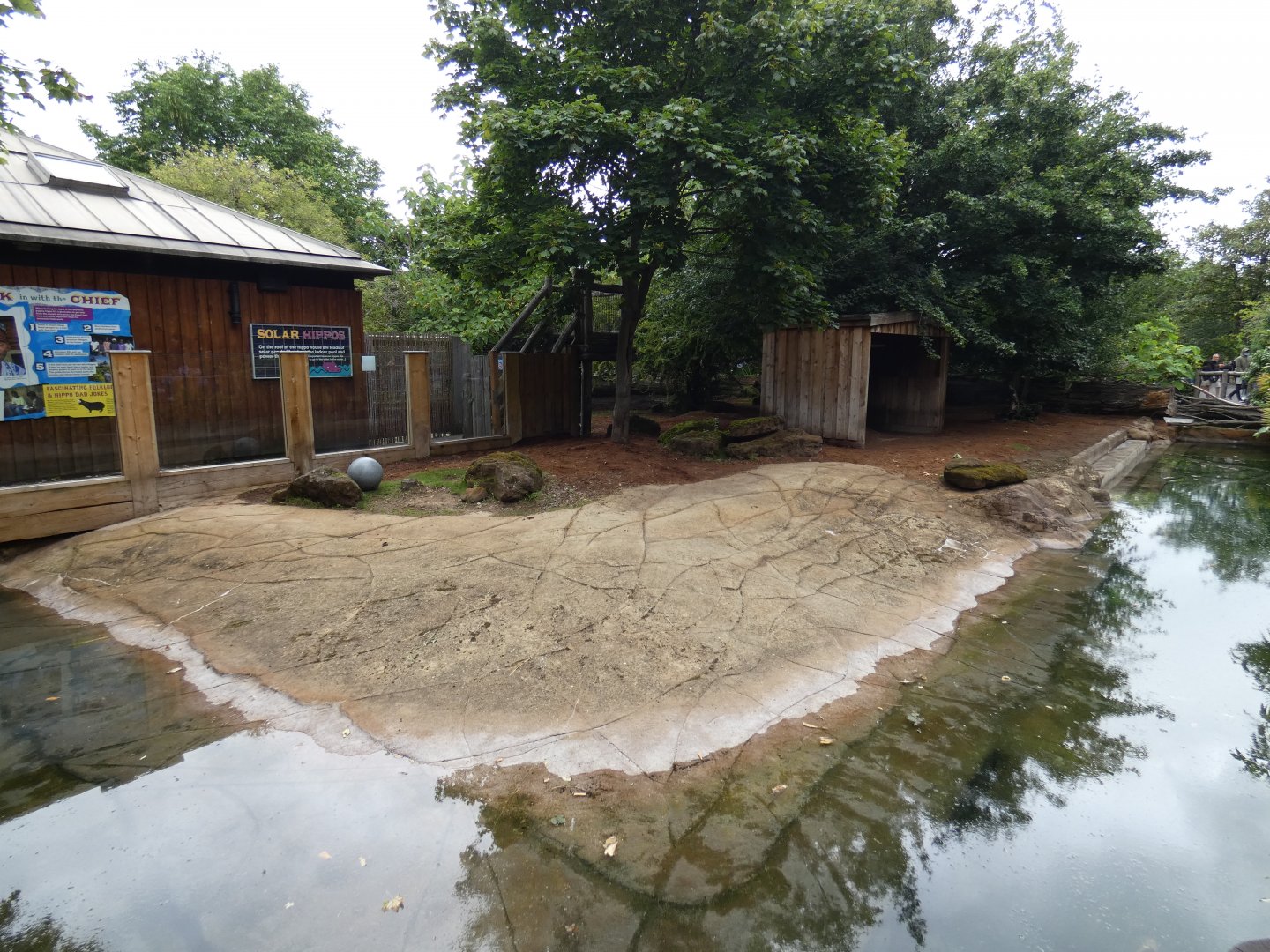 Pygmy hippo outdoor enclosure (2)